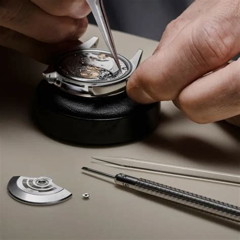 rolex proces